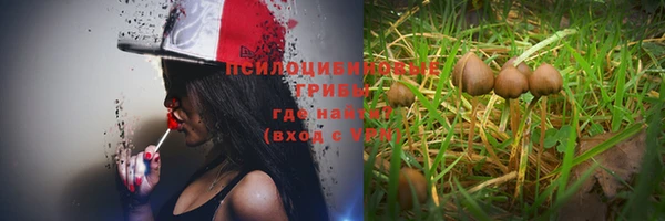 стафф Армянск