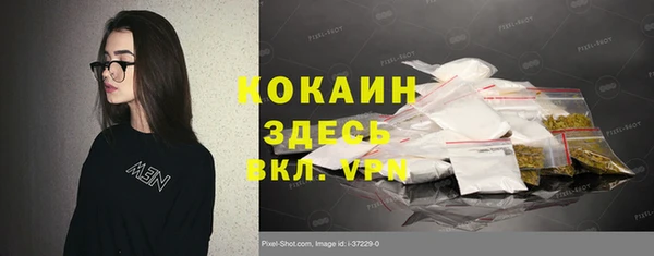 крисы Аркадак