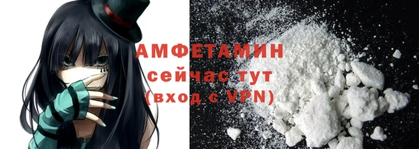 крисы Аркадак