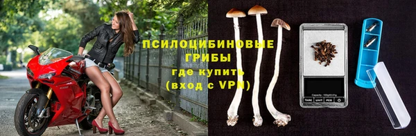 стафф Армянск