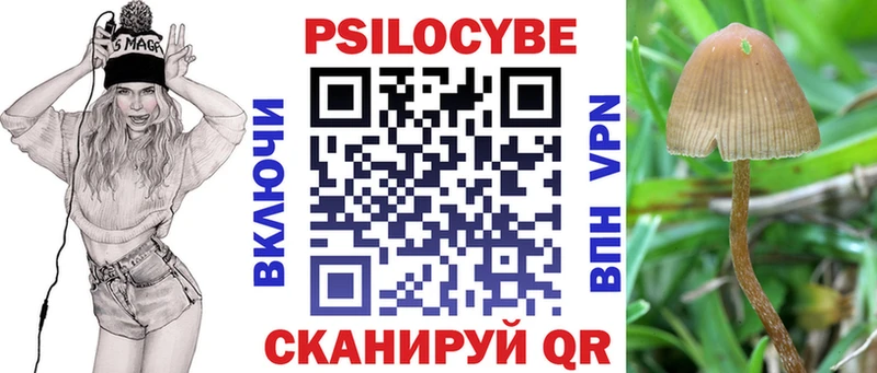 Галлюциногенные грибы прущие грибы  Купить где  Мещовск 